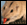 ninu ist online